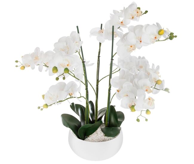 Well home - orquídea em vaso de cerâmica branca h65