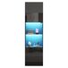 Vitrine de painel de partículas com 2 portas 45 Vitrine de painel de partículas com 2 portas 45 Preto