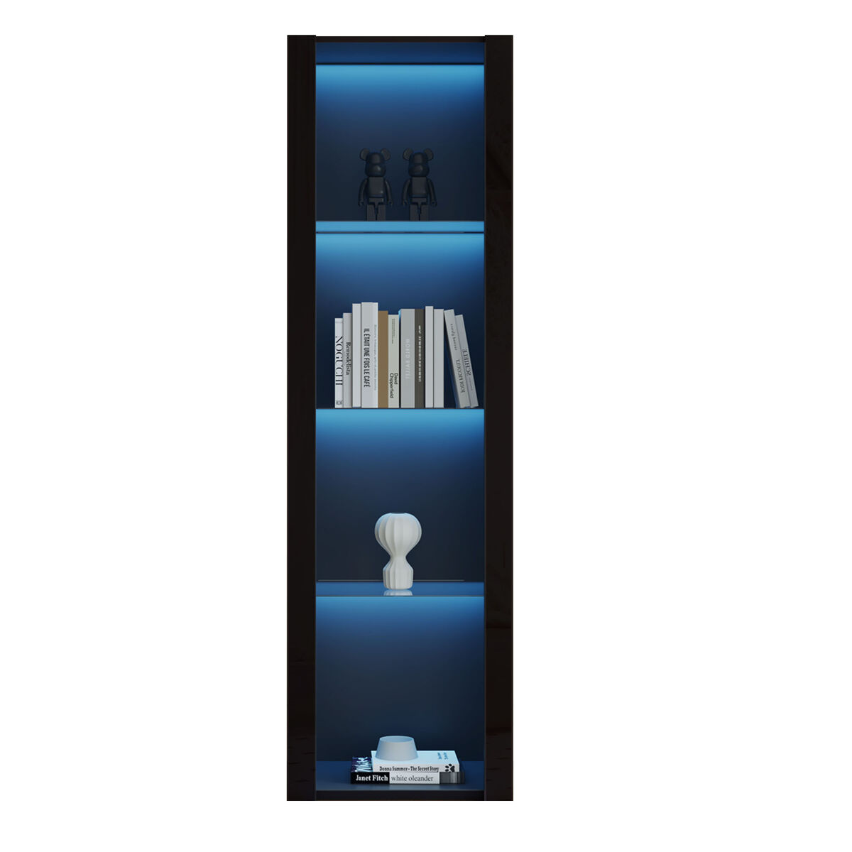 Vitrine de painel de partículas com 1 porta 55