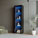 Vitrine de painel de partículas com 1 porta 55 Vitrine de painel de partículas com 1 porta 55 Preto