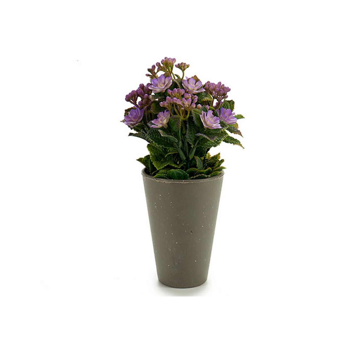 Planta Decorativa 55287
