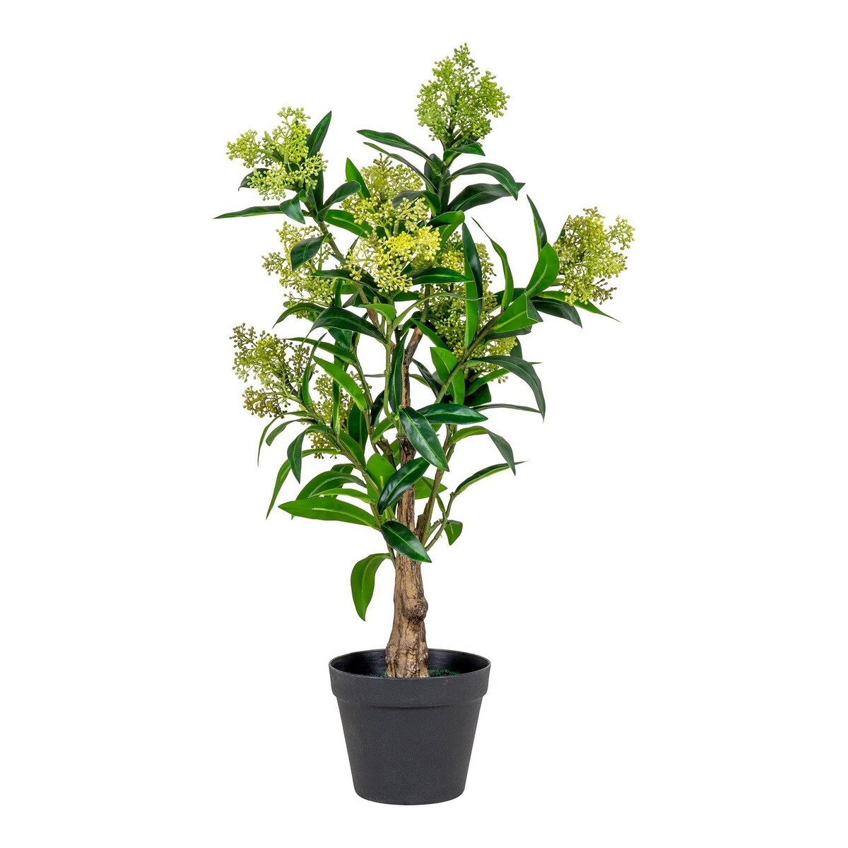 Seven Design Planta Artificial Skimmia, Polietileno, Verde