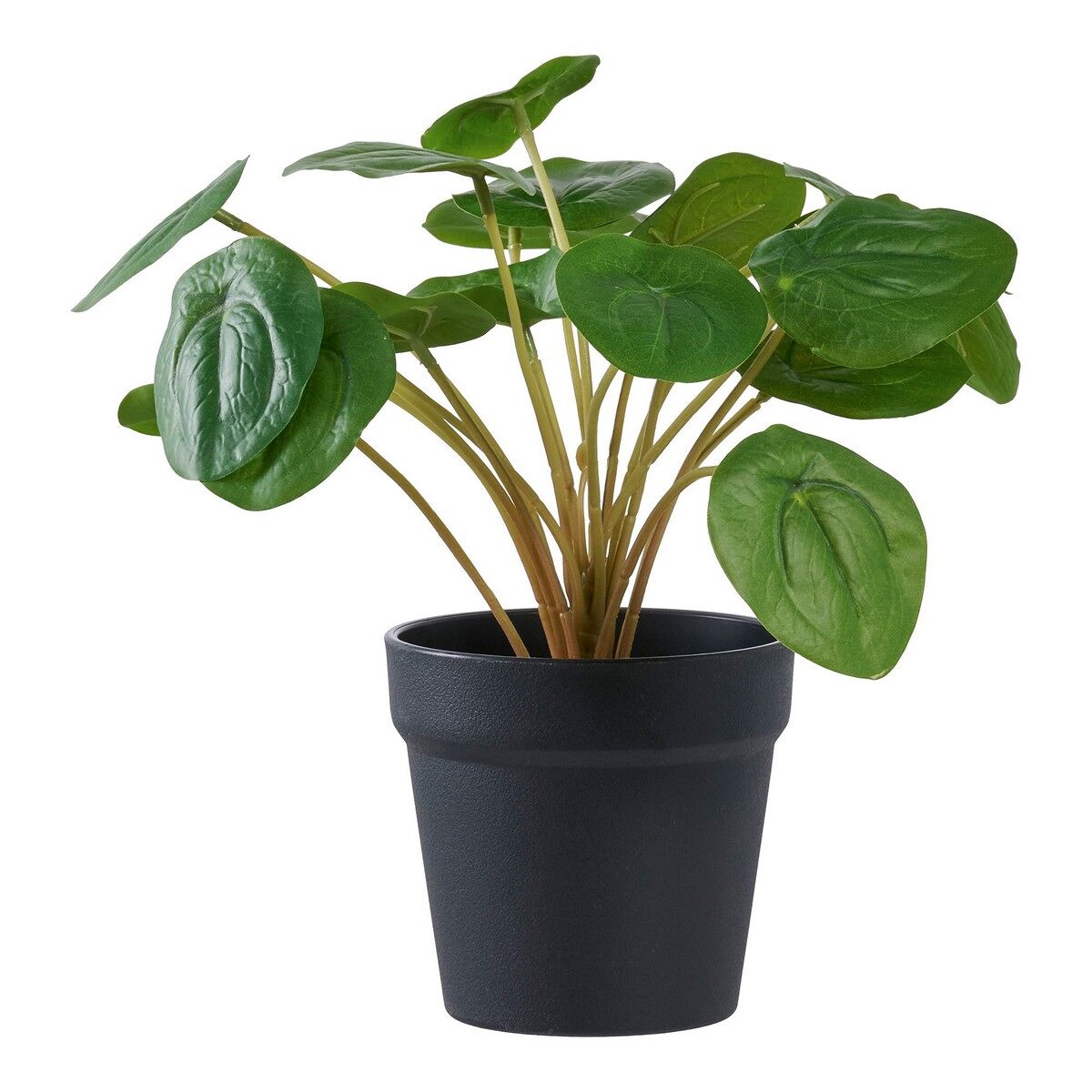 Seven Design Planta Artificial Pilea, Plástico Pe, Verde