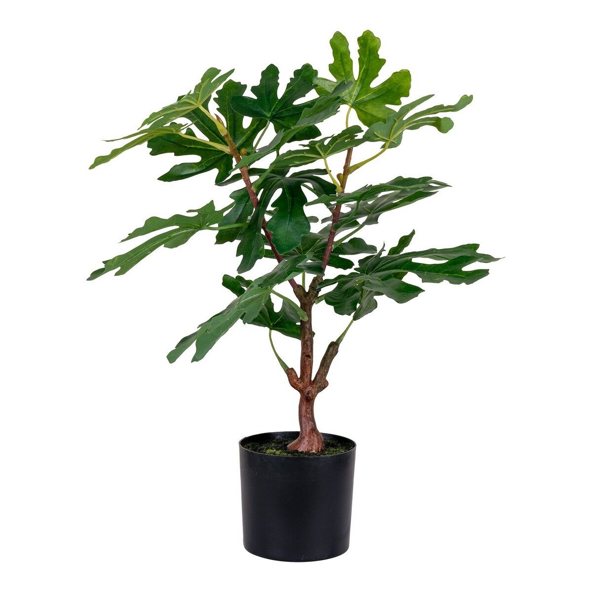 Seven Design Planta Artificial Ficus, Polietileno, Verde