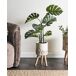 Beliani Vaso alto para plantas PREWEZA Beliani Vaso alto para plantas PREWEZA Creme