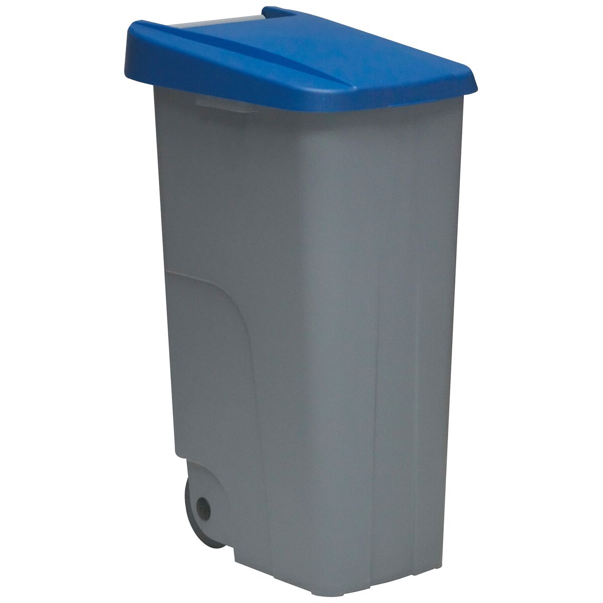 Recipiente de reciclagem well home 110