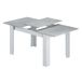 Pacote de sala de jantar moderna: mesa extensível e 4 cadeiras estofadas Pacote de sala de jantar moderna: mesa extensível e 4 cadeiras estofadas Cinza