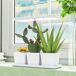 Luz Crecimiento Plantas PP, Alumínio Outsunny Luz Crecimiento Plantas PP, Alumínio Outsunny Branco