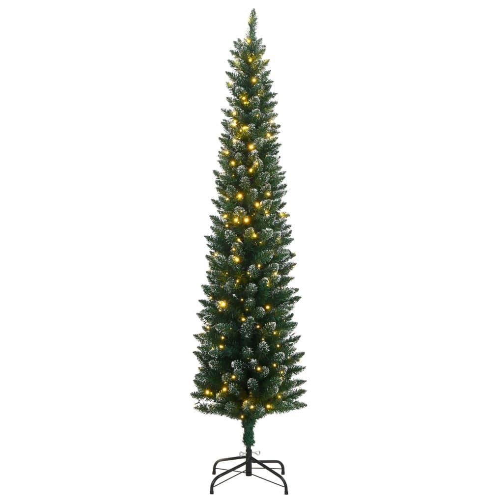Árvore de Natal - Pinheiro de Natal