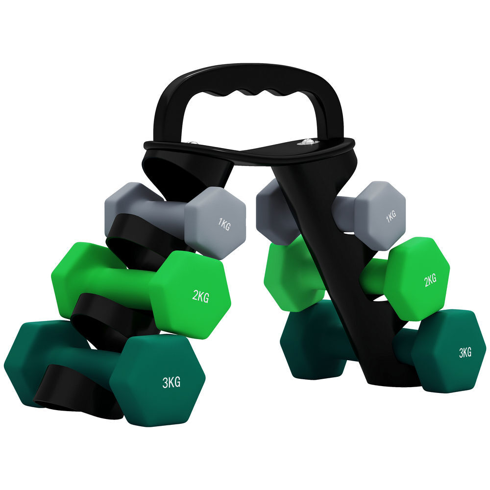 Sportnow conjunto de halteres 2 x 1kg 2 x 2kg e 2 x 3kg halteres hexagonais com suporte de armazenamento para treino em casa ginásio multicor