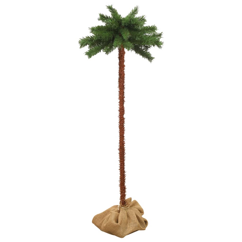 Árvore de Natal - Pinheiro de Natal