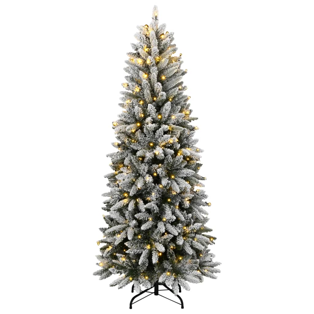 Árvore de Natal - Pinheiro de Natal