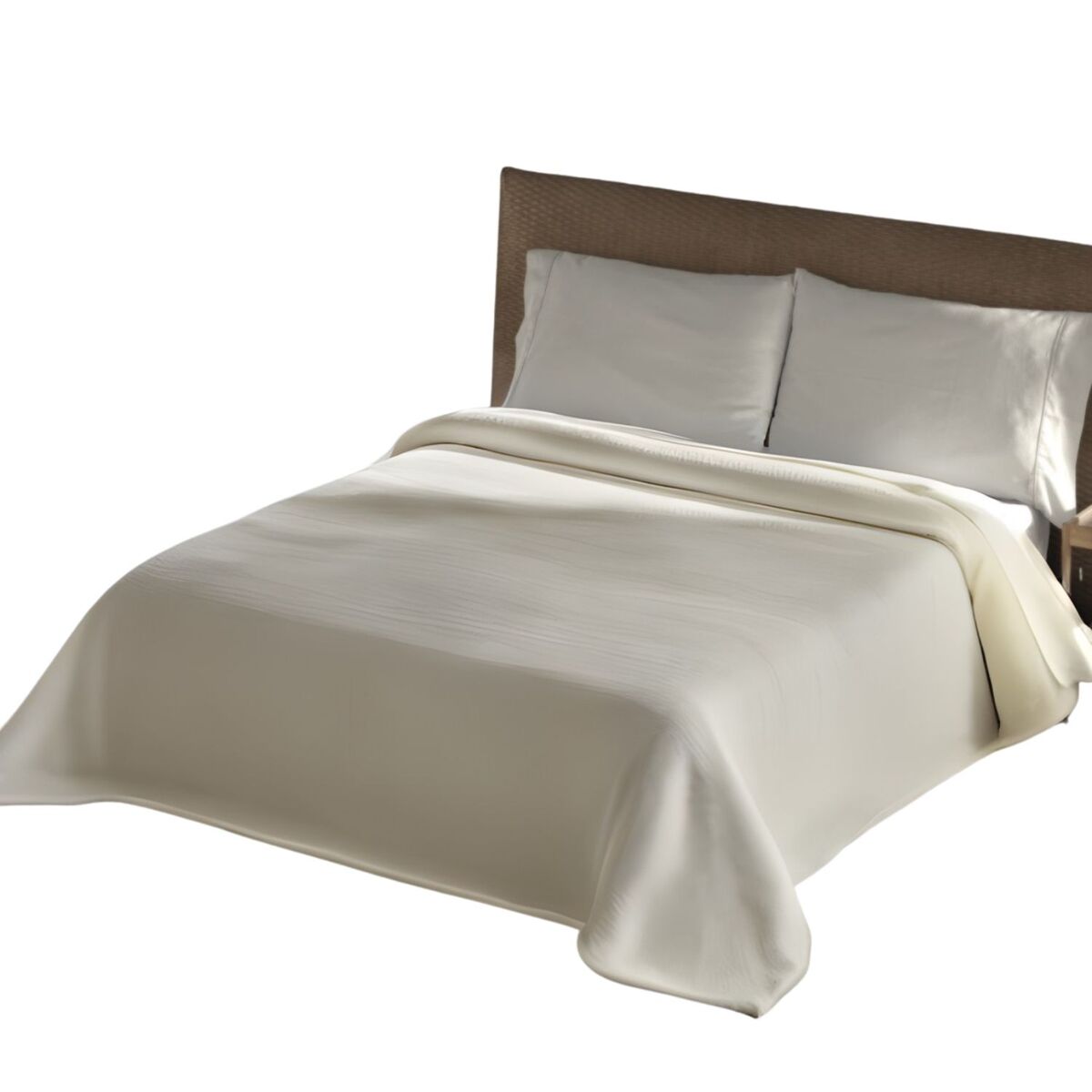 Manta basic home 650gr cru 160x220cm donegal collections