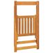 8 pcs Cadeiras de jardim - Cadeiras de exterior dobráveis 8 pcs Cadeiras de jardim - Cadeiras de exterior dobráveis Castanho