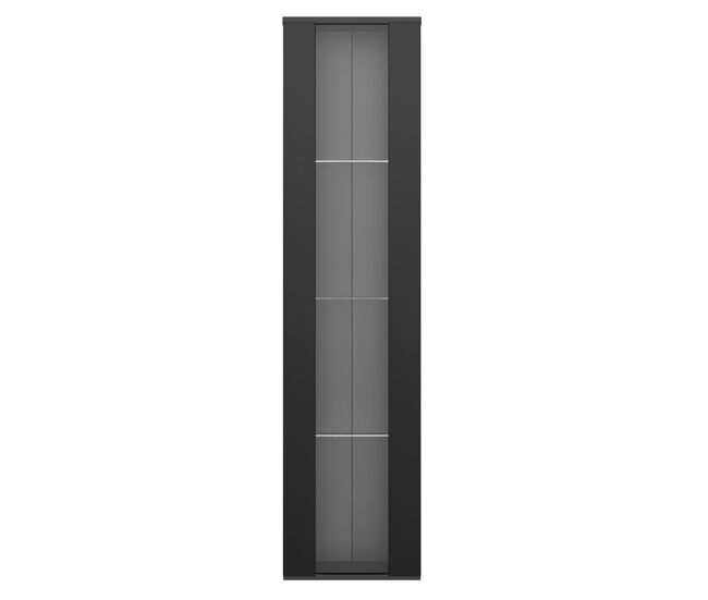 Vitrine multifuncional 40x29x170 cm - painel de vidro, luz led com mudança de cor, controle remoto, design simples - preto