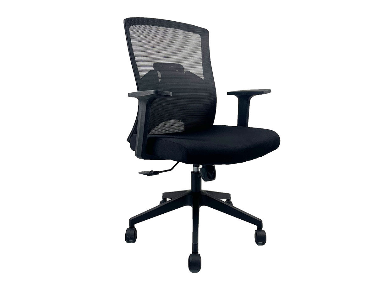 Cadeira de Escritório Executiva, Juno  