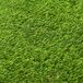 Relva Artificial PNEX (PE e PP) e BSF Outsunny Relva Artificial PNEX (PE e PP) e BSF Outsunny Verde