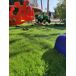 Rolo De Relva| Macio| Fofo| Jardim| Sintético Rolo De Relva| Macio| Fofo| Jardim| Sintético