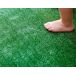 Rolo De Relva| Macio| Fofo| Jardim| Carpete Rolo De Relva| Macio| Fofo| Jardim| Carpete
